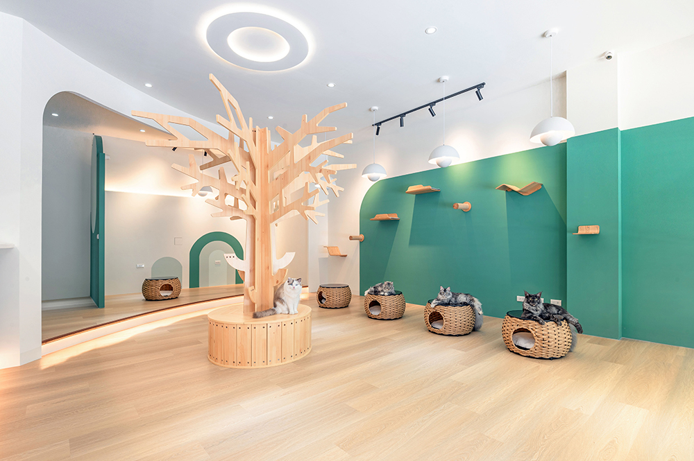 柒享設計 French Design Awards  競賽獲獎作品 喵覓咖啡實景照-1